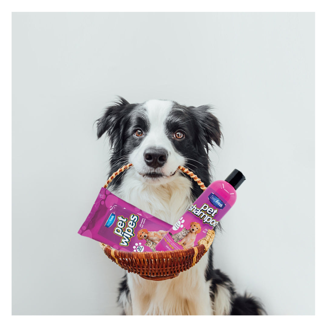 Pachet promo pentru îngrijirea animalelor de companie Deep Fresh - Redist